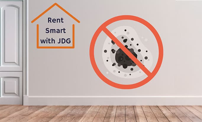 Ep.2 Black Mould Tips
