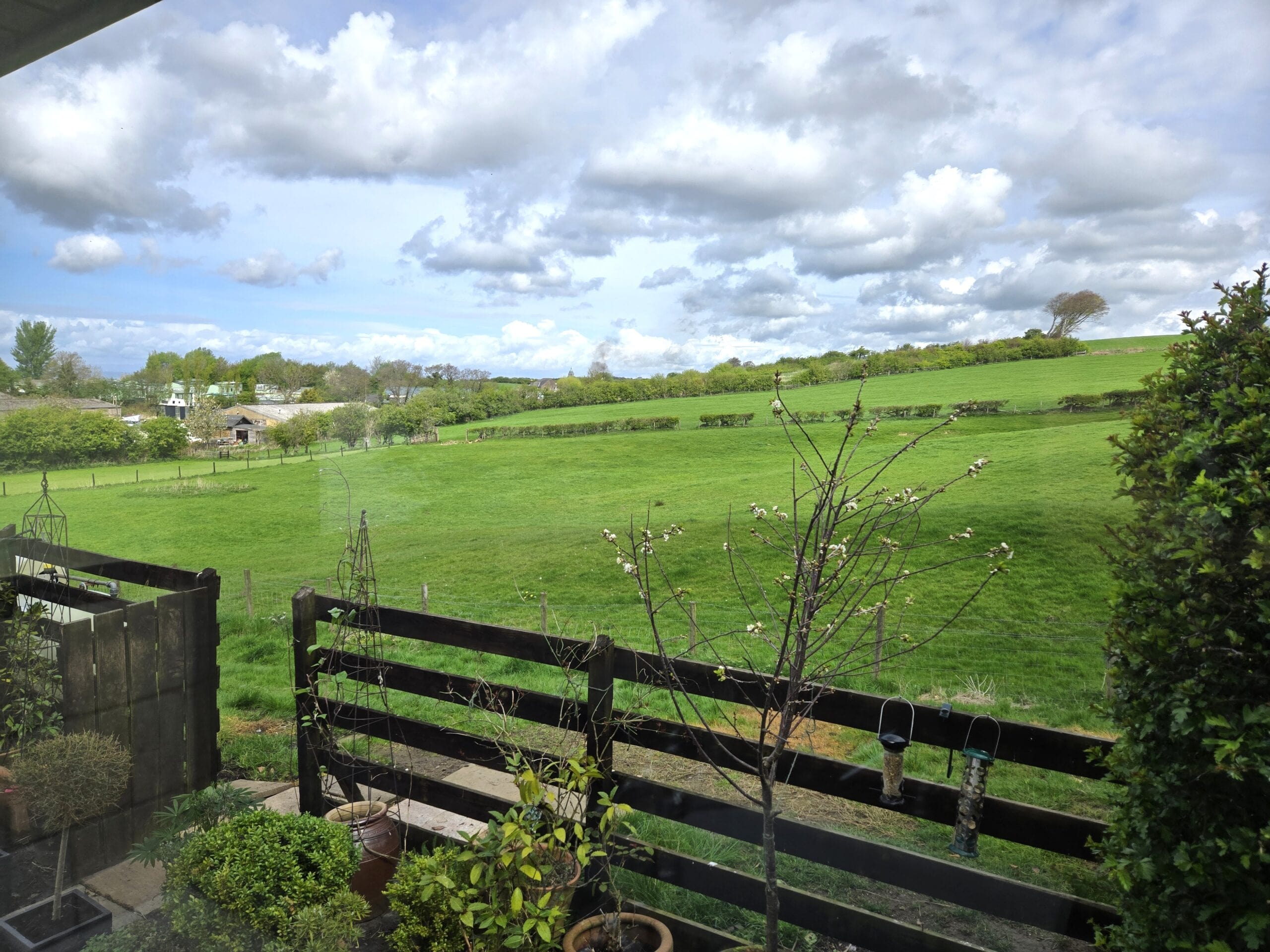 Number 28