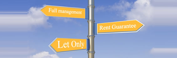 Our Service Options