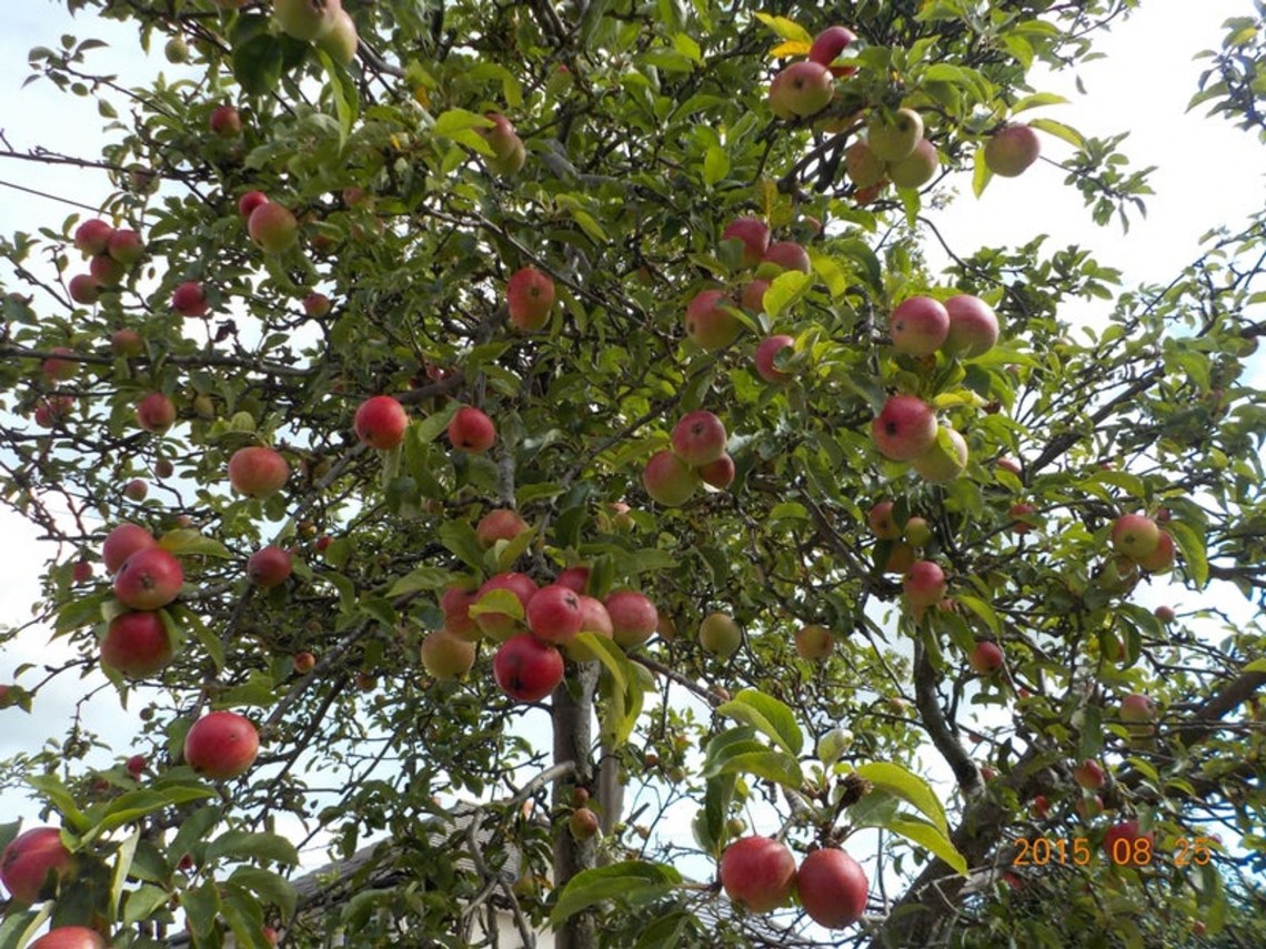 Images for Gressingham Drive, Lancaster, LA1 EAID:3434883719 BID:96f1cd48-0e9b-4bf7-9d14-ed474c86a860