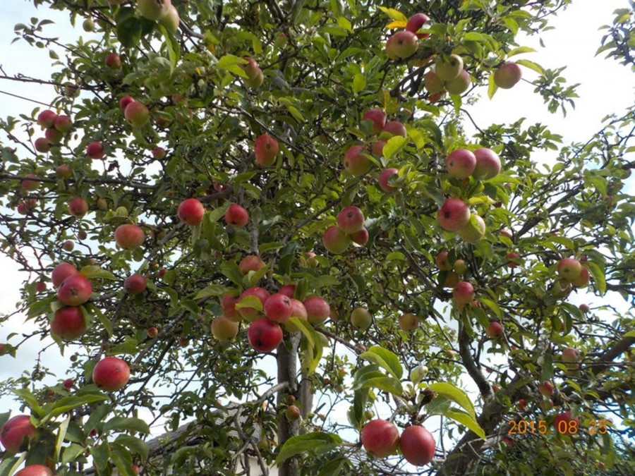 Images for Gressingham Drive, Lancaster, LA1 EAID:3434883719 BID:96f1cd48-0e9b-4bf7-9d14-ed474c86a860