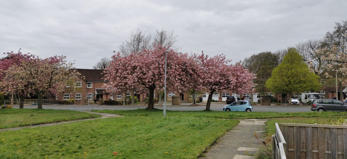 Images for Gressingham Drive, Lancaster, LA1 EAID:3434883719 BID:96f1cd48-0e9b-4bf7-9d14-ed474c86a860