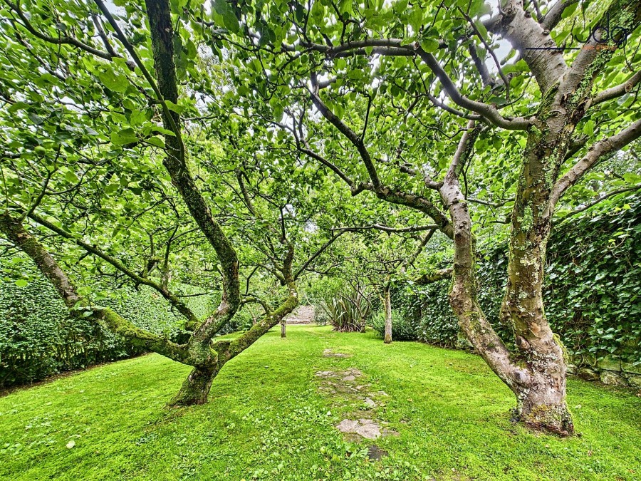Images for Lily Grove, Lancaster, LA1 EAID:3434883719 BID:96f1cd48-0e9b-4bf7-9d14-ed474c86a860