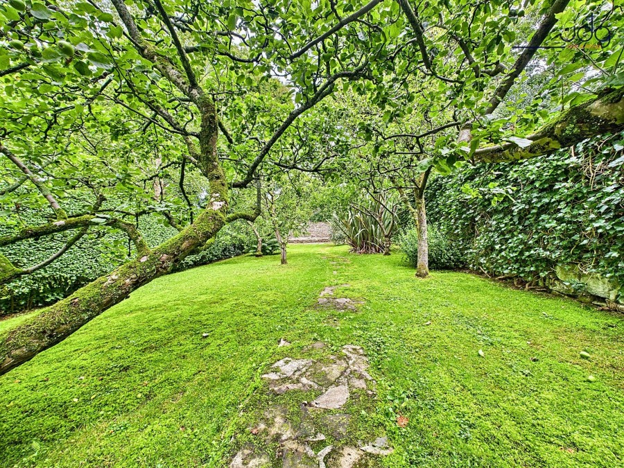 Images for Lily Grove, Lancaster, LA1 EAID:3434883719 BID:96f1cd48-0e9b-4bf7-9d14-ed474c86a860