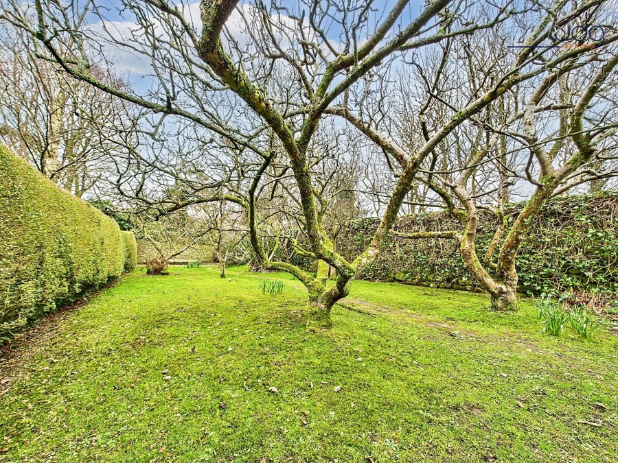 Images for Lily Grove, Lancaster, LA1 EAID:3434883719 BID:96f1cd48-0e9b-4bf7-9d14-ed474c86a860