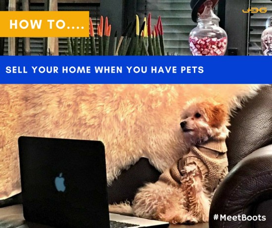 How to sell your home when you have pets