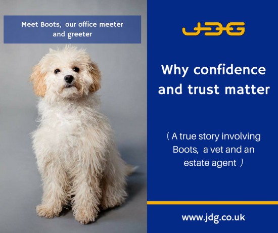 Why confidence and trust matter