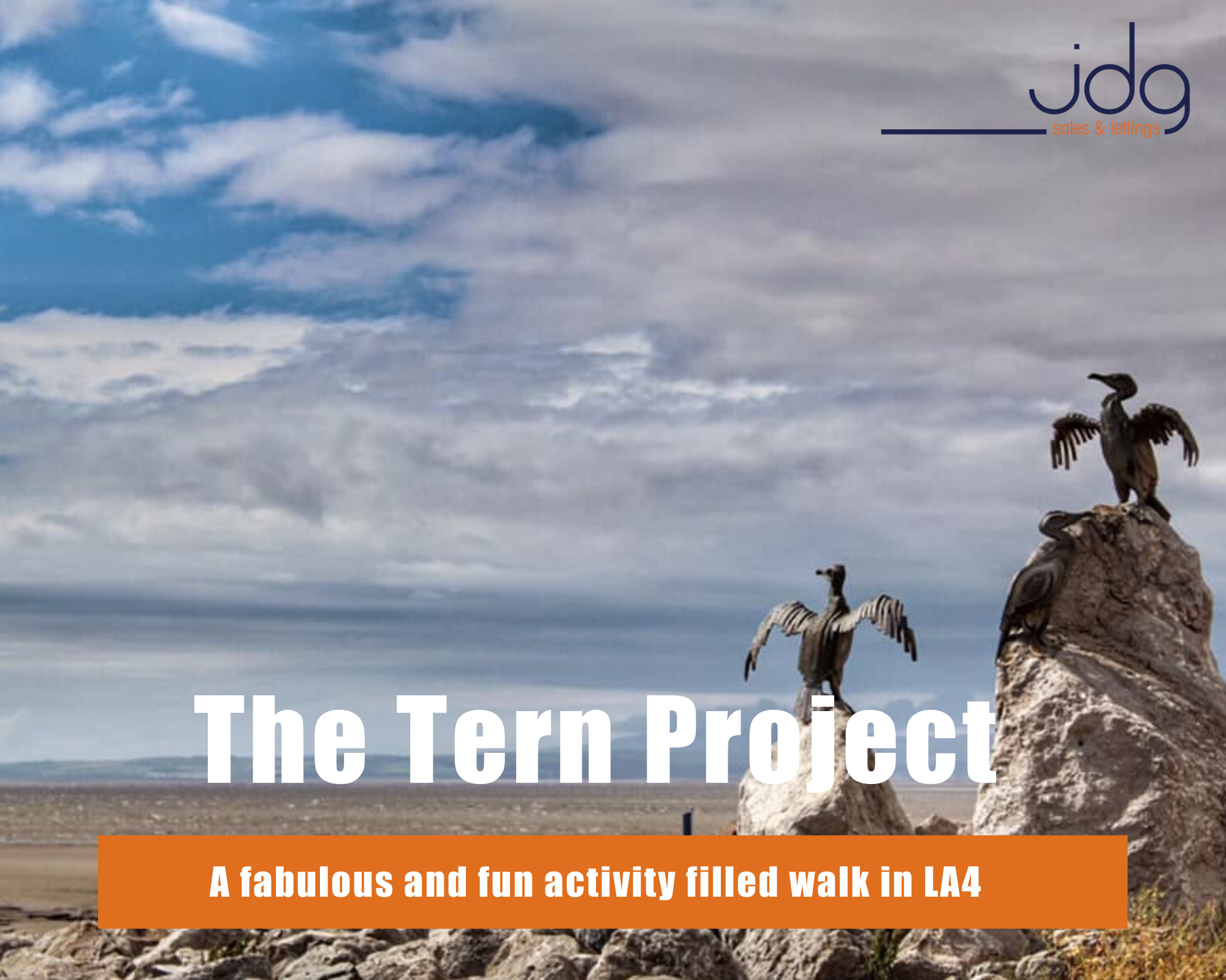 Have you heard about the Tern Project - an activity walk in Morecambe?
