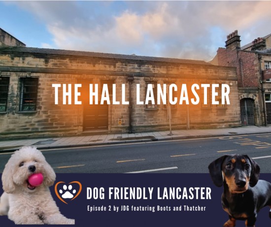 Dog Friendly Lancaster - A visit to The Hall