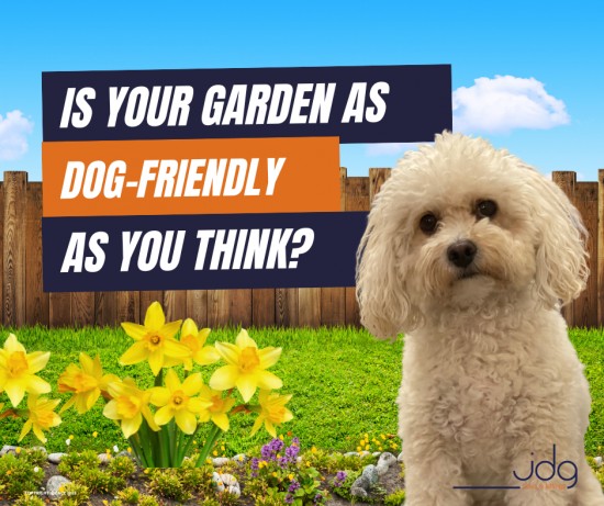 Is Your Lancaster Garden as Dog-Friendly as You Think?